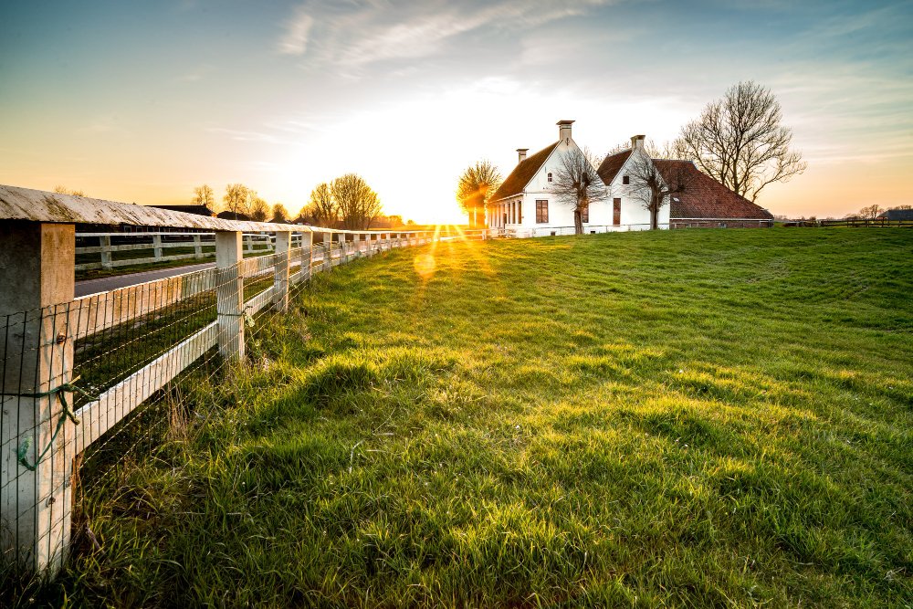 beautiful-shot-fence-leading-house-green-grass-area (1)